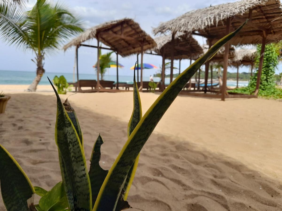 Golden Beach Chalets Arugam Bay Esterno foto