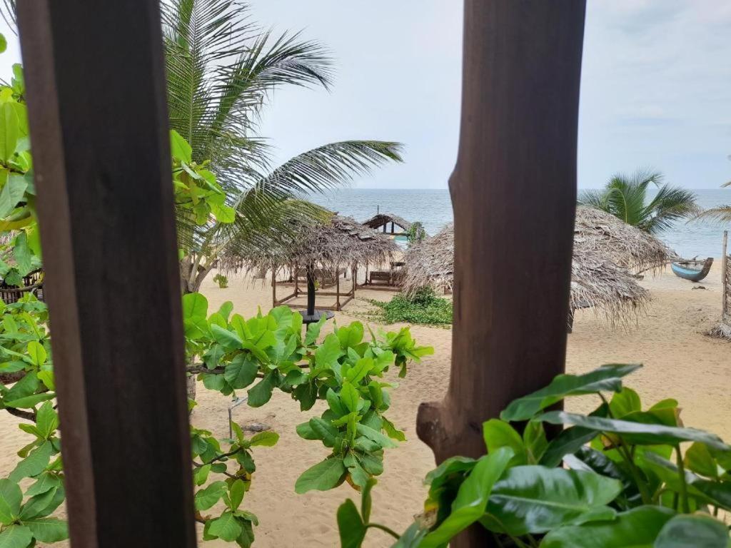 Golden Beach Chalets Arugam Bay Esterno foto